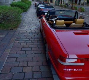 アルファスパイダー